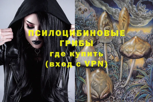 дживик Нея
