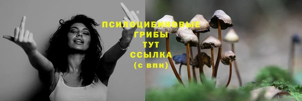 МДМА Мегион