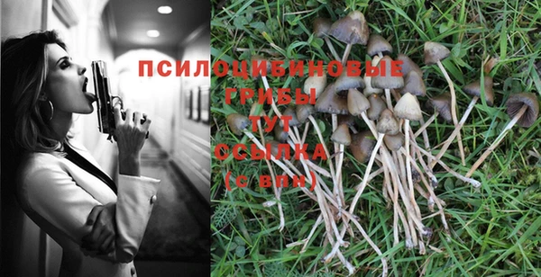 гашишное масло Медвежьегорск
