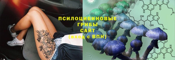 гашишное масло Медвежьегорск